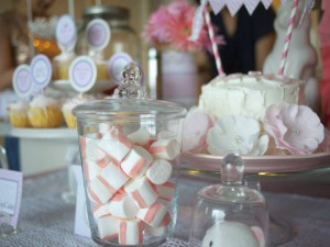 ベビーピンクの赤ちゃんお披露目パーティー : Pink Bird Themed Party