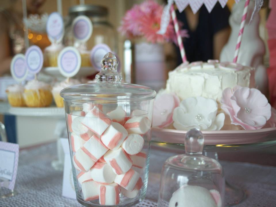 ベビーピンクの赤ちゃんお披露目パーティー : Pink Bird Themed Party