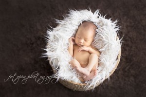 photopia_newborn