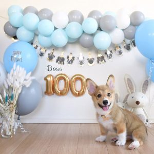 100 day celebration for dogs : わんちゃんの100日お祝い